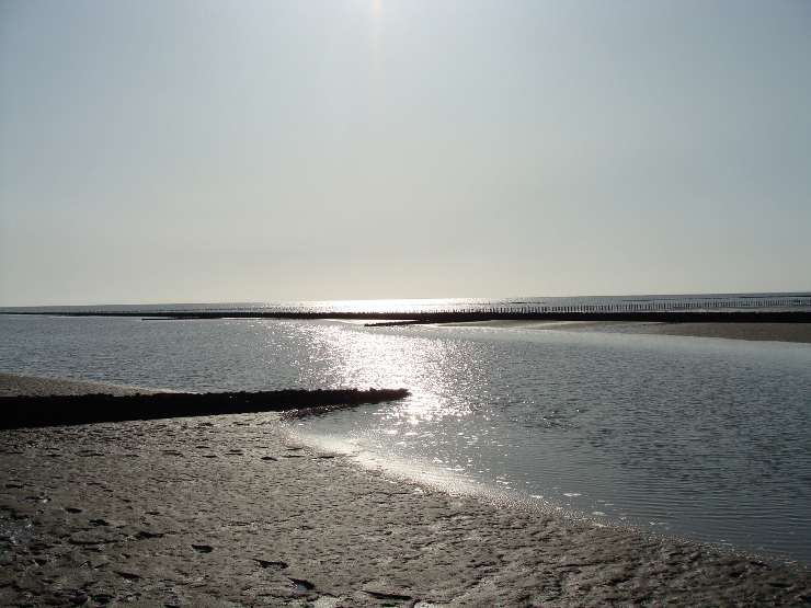 Nordsee bei Niebüll